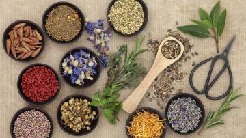 Naturopathy Treatments in Kerala