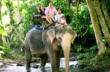 Beautiful 3 Days Chiang Mai to Elephant Nature Park Holiday Package
