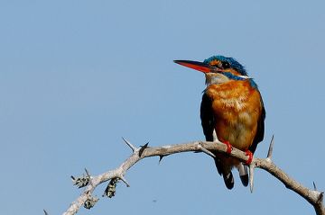 Memorable UDAWALAWA Forest Tour Package for 7 Days from Colombo