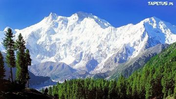 Kashmir Tour with Golden Triangle