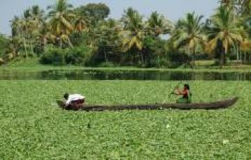 Heart-warming 8 Days 7 Nights Delhi, Jaipur with Agra Vacation Package