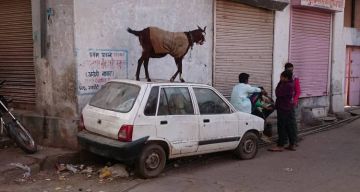 Heart-warming 8 Days 7 Nights Delhi, Jaipur with Agra Vacation Package