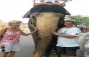 Heart-warming 8 Days 7 Nights Delhi, Jaipur with Agra Vacation Package