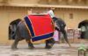 Heart-warming 8 Days 7 Nights Delhi, Jaipur with Agra Vacation Package