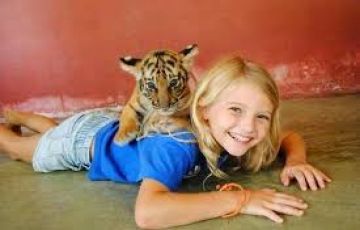 Family Getaway 4 Days DELHI to Phuket Wildlife Trip Package