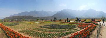 Heart-warming 6 Days Gulmarg Friends Trip Package