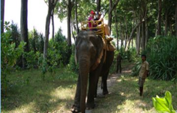 6 Days 5 Nights Port Blair to Havelock Island Fishing Trip Package