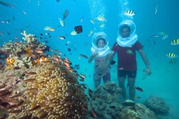 6 Days 5 Nights Port Blair to Havelock Island Fishing Trip Package