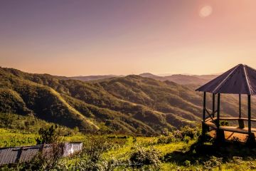 6 Days 5 Nights Siliguri to Gangtok Palace Tour Package