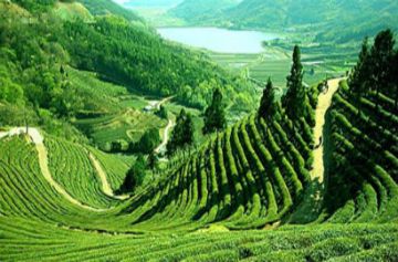 Best 6 Days Siliguri to Darjeeling Tour Package