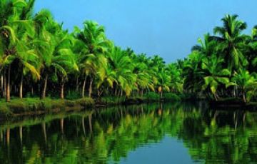 6 Days 5 Nights Munnar Offbeat Tour Package