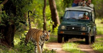 Pleasurable 8 Days Delhi to Mussoorie Wildlife Holiday Package