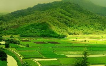 Memorable 6 Days Mysuru Beach Trip Package