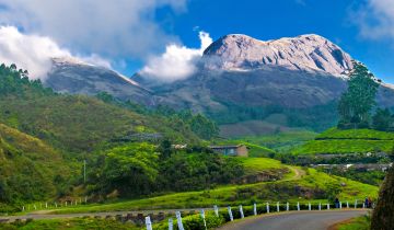 5 Days 4 Nights Kochi to Alleppey Culture Heritage Tour Package