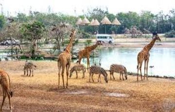 Heart-warming Bangkok Tour Package for 3 Days 2 Nights from Delhi