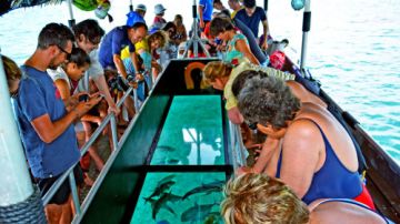 Beautiful 7 Days 6 Nights Ross Holiday Package