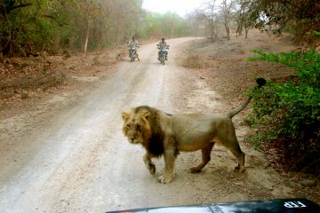 Amazing 5 Days 4 Nights Diu Adventure Holiday Package