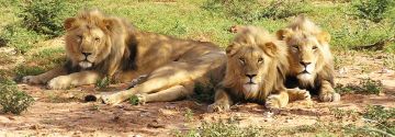 Amazing 5 Days 4 Nights Diu Adventure Holiday Package
