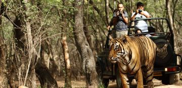 Experience 7 Days Kanha Romantic Holiday Package