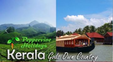 4 Days Munnar with Allappey Honeymoon Vacation Package