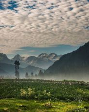 Ecstatic 4 Days Shimla Offbeat Holiday Package