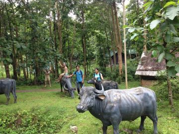 Pleasurable 2 Days 1 Night Dandeli Trip Package