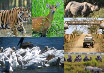 5 Days 4 Nights Guwahati to Shillong Mountain Holiday Package