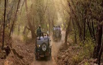 Heart-warming 4 Days Delhi to Jimcorbett Family Vacation Package