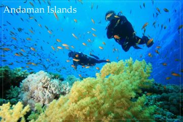Ecstatic 6 Days Andaman And Nicobar Islands Cruise Trip Package