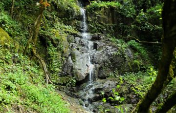 Magical 4 Days Munnar with Alleppey Trip Package