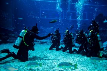 Amazing 7 Days 6 Nights Ro Tour Package