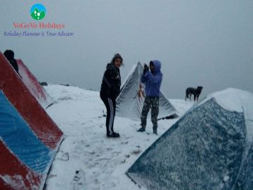Triund Trek