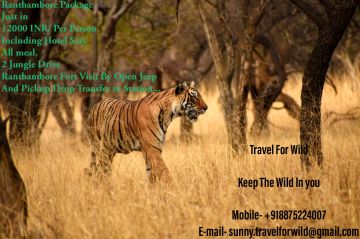 Best 3 Days Sawai Madhopur to Ranthambore Holiday Package