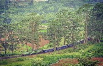 Magical 6 Days Bengaluru to Bandipur Vacation Package