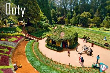 Amazing 5 Days 4 Nights Coorg Forest Trip Package