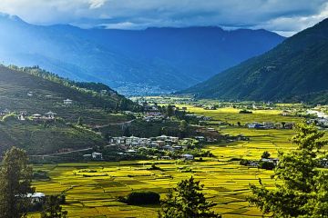 Pleasurable 6 Days Punakha Honeymoon Holiday Package