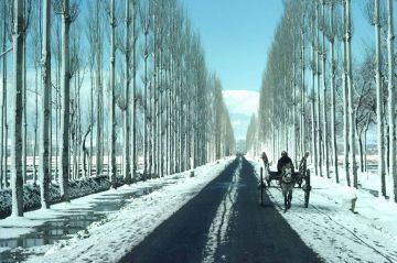 6 Days 5 Nights Srinagar to Pahalgam Historical Places Holiday Package