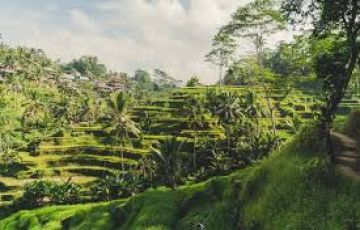 Ecstatic 6 Days 5 Nights Bali Temple Tour Package