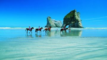 16 Days 15 Nights Wellington Friends Holiday Package