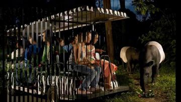 HONEYMOON IN SINGAPORE