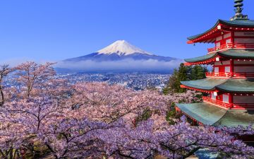 3 Days Tokyo, Japan to Hiroshima Tour Package