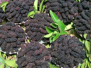 3 Days 2 Nights Pune to Panchgani Waterfall Vacation Package