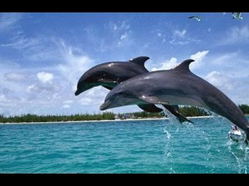 Amazing 7 Days 6 Nights Bhubaneswar Friends Tour Package