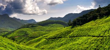 Best Munnar Nature Tour Package for 3 Days