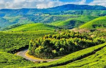 6 Days 5 Nights Bengaluru to Mysore Friends Vacation Package