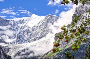 Beautiful Venice Tour Package for 9 Days 8 Nights