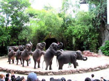 Memorable Pattay Tour Package for 5 Days from Pattaya City