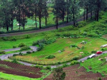 Best 4 Days 3 Nights Ooty Hill Stations Tour Package