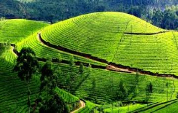 Best 4 Days 3 Nights Ooty Hill Stations Tour Package