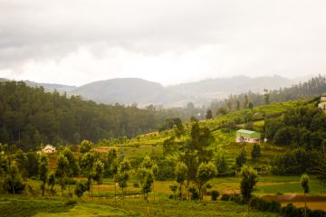Best 4 Days 3 Nights Ooty Hill Stations Tour Package